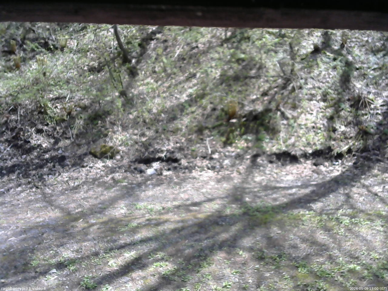 長野県菅平高原 ゆたか山荘 東側(坂下) 2026/05/09 13:00