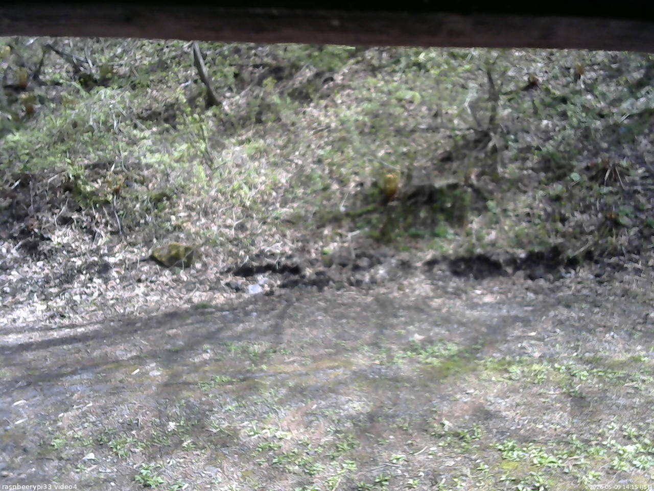 長野県菅平高原 ゆたか山荘 東側(坂下) 2026/05/09 14:15