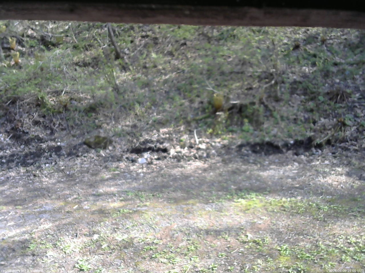 長野県菅平高原 ゆたか山荘 東側(坂下) 2026/05/09 15:00