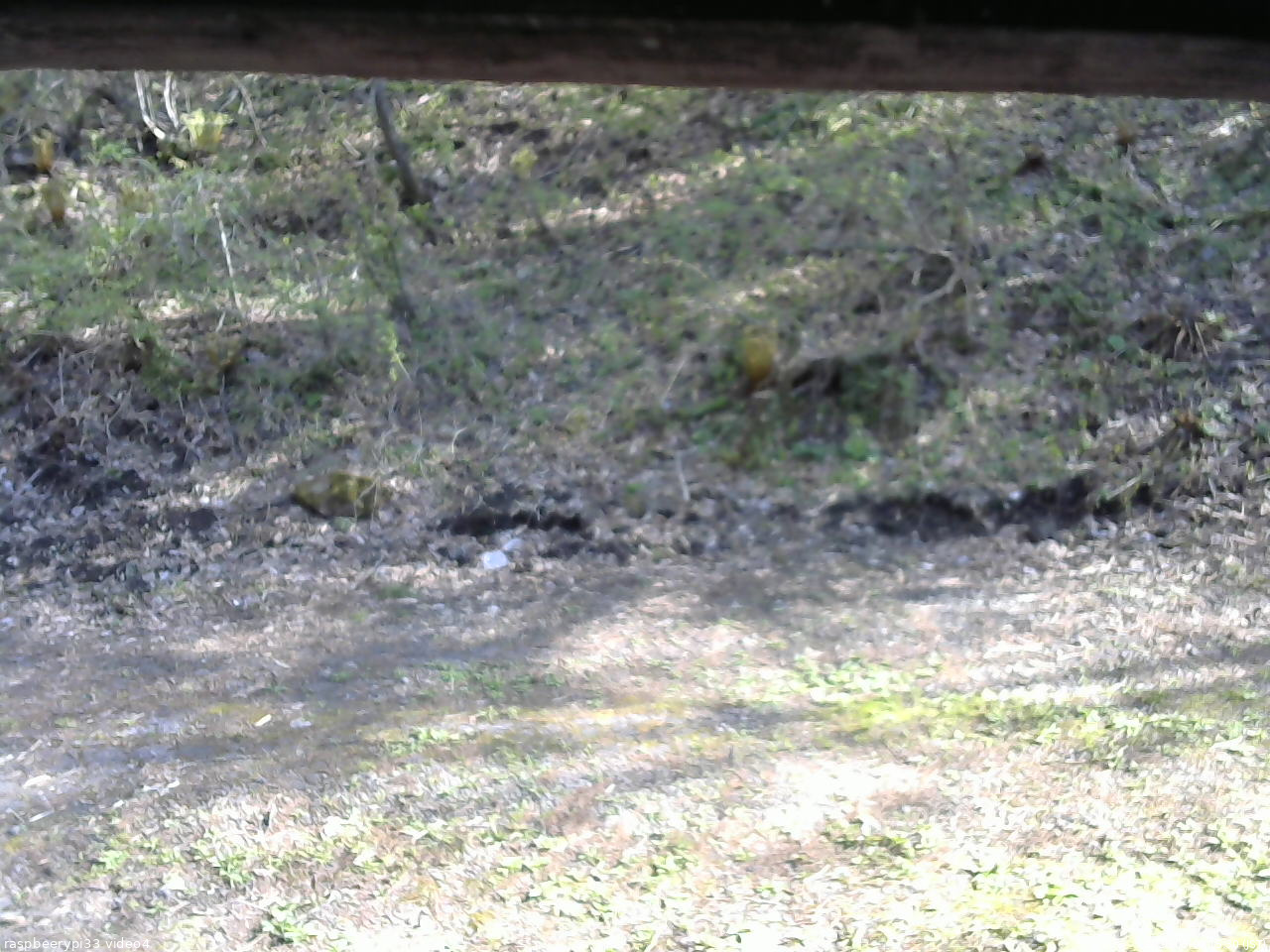 長野県菅平高原 ゆたか山荘 東側(坂下) 2026/05/09 15:30