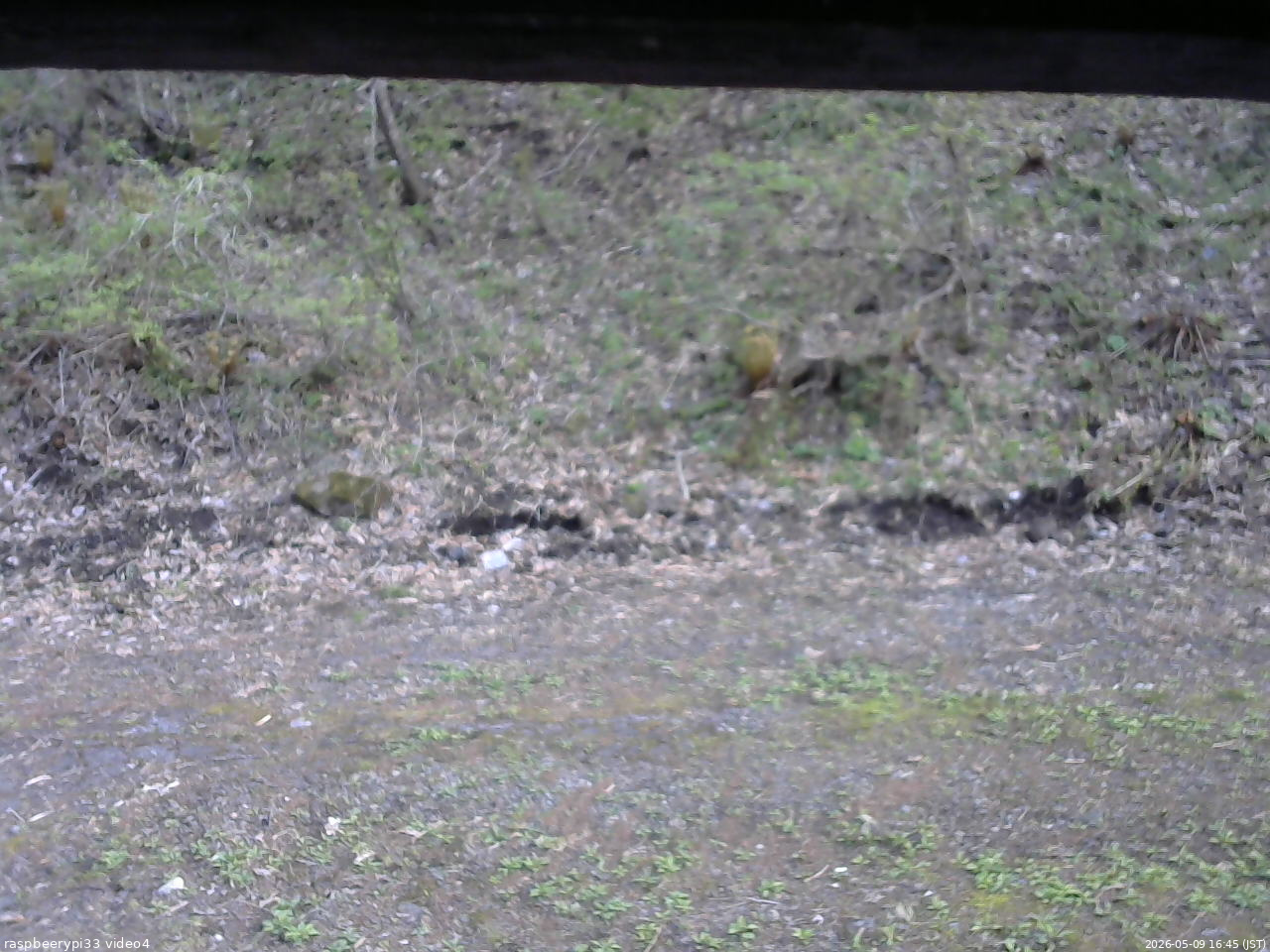 長野県菅平高原 ゆたか山荘 東側(坂下) 2026/05/09 16:45