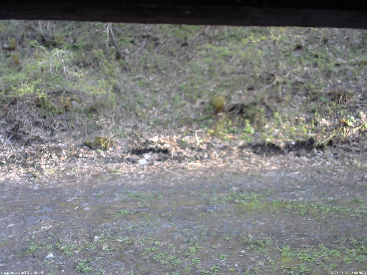 長野県菅平高原 ゆたか山荘 東側(坂下) 2026/05/09 17:00