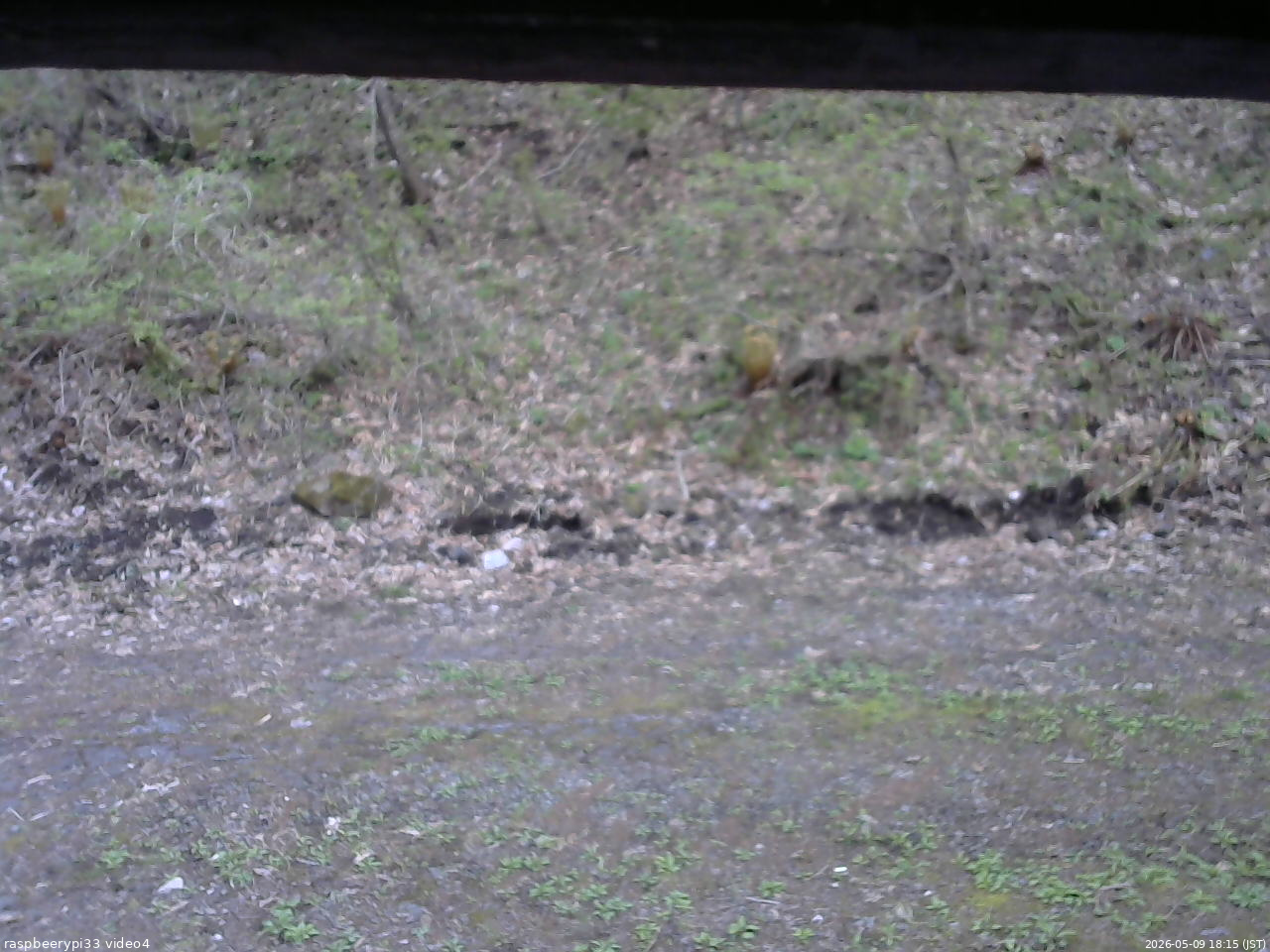 長野県菅平高原 ゆたか山荘 東側(坂下) 2026/05/09 18:15