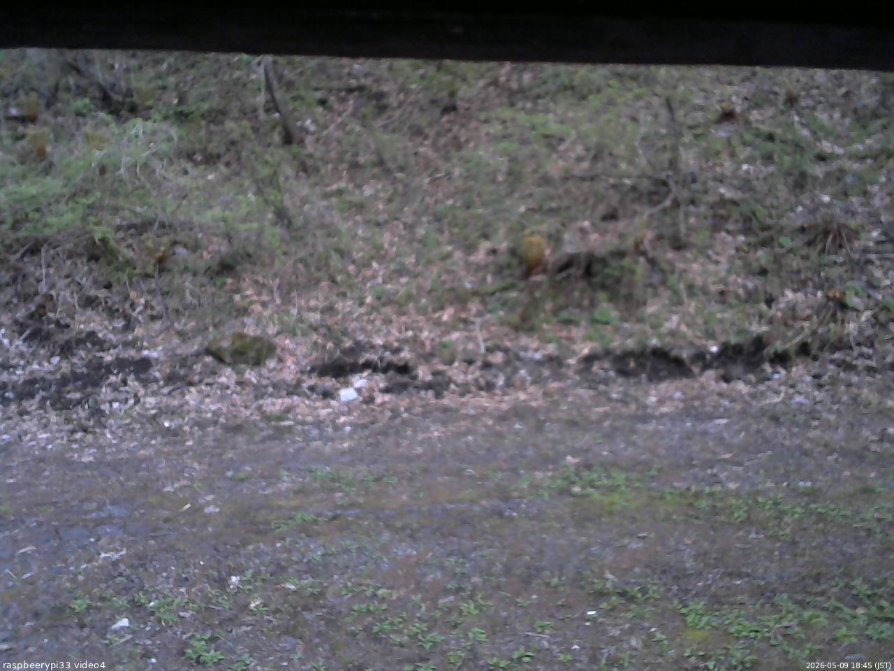 長野県菅平高原 ゆたか山荘 東側(坂下) 2026/05/09 18:45