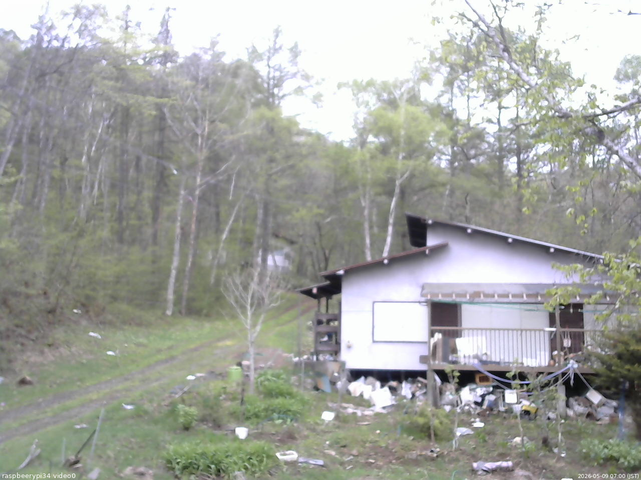 長野県菅平高原 ゆたか山荘 西側(坂上) 2026/05/09 07:00