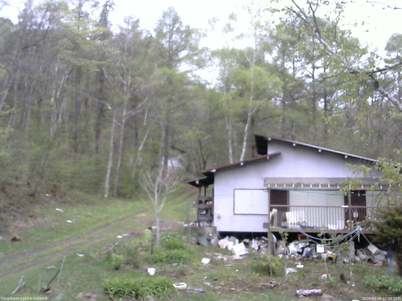 長野県菅平高原 ゆたか山荘 西側(坂上) 2026/05/09 07:30