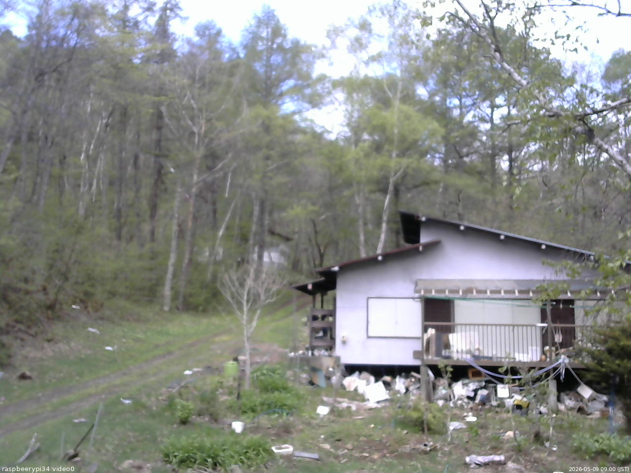 長野県菅平高原 ゆたか山荘 西側(坂上) 2026/05/09 09:00