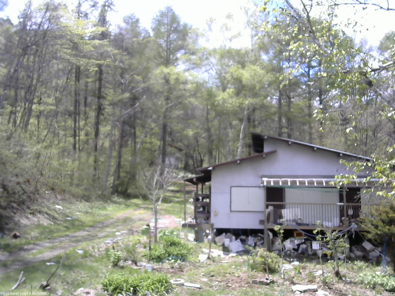 長野県菅平高原 ゆたか山荘 西側(坂上) 2026/05/09 12:30