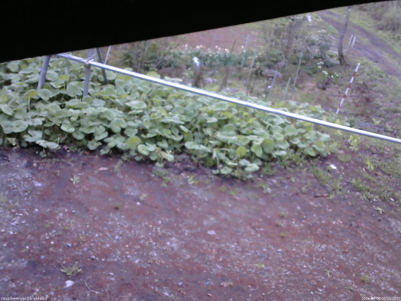 長野県菅平高原 ゆたか山荘 駐車場 2026/05/09 05:15