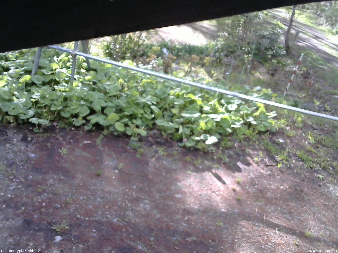 長野県菅平高原 ゆたか山荘 駐車場 2026/05/09 06:30