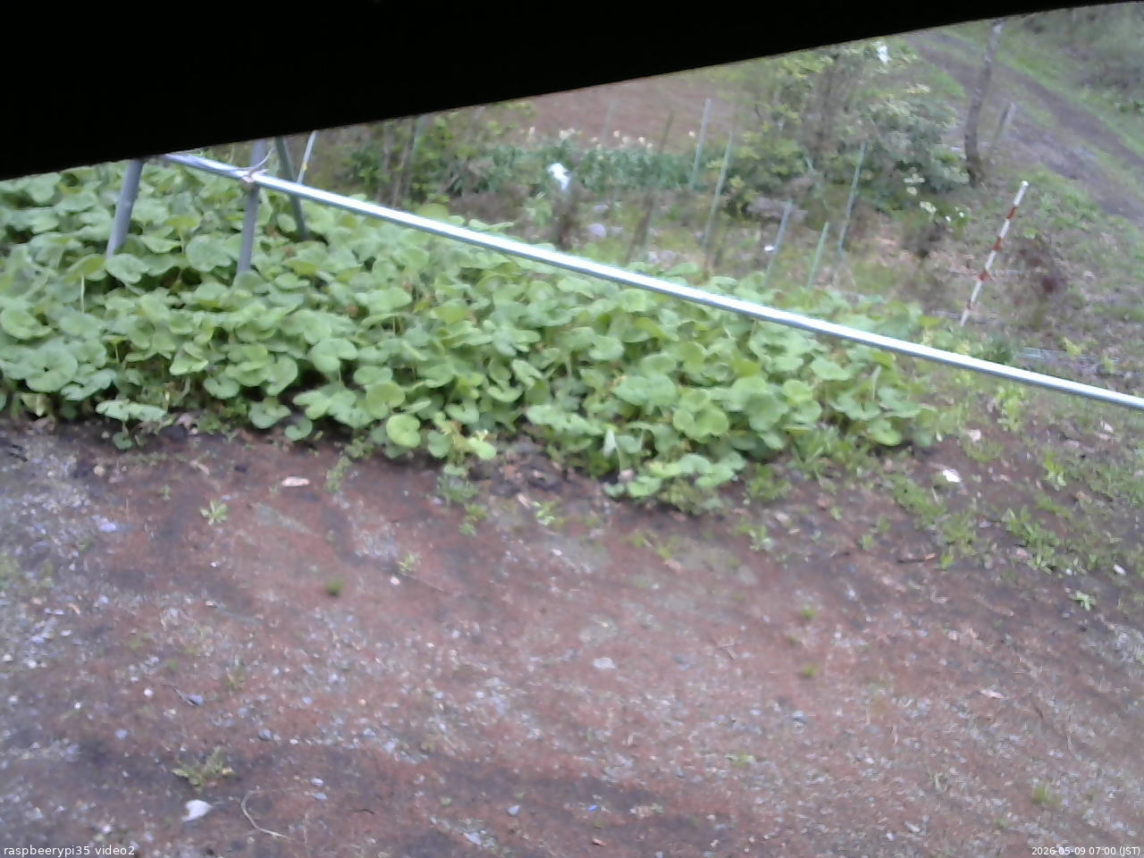 長野県菅平高原 ゆたか山荘 駐車場 2026/05/09 07:00