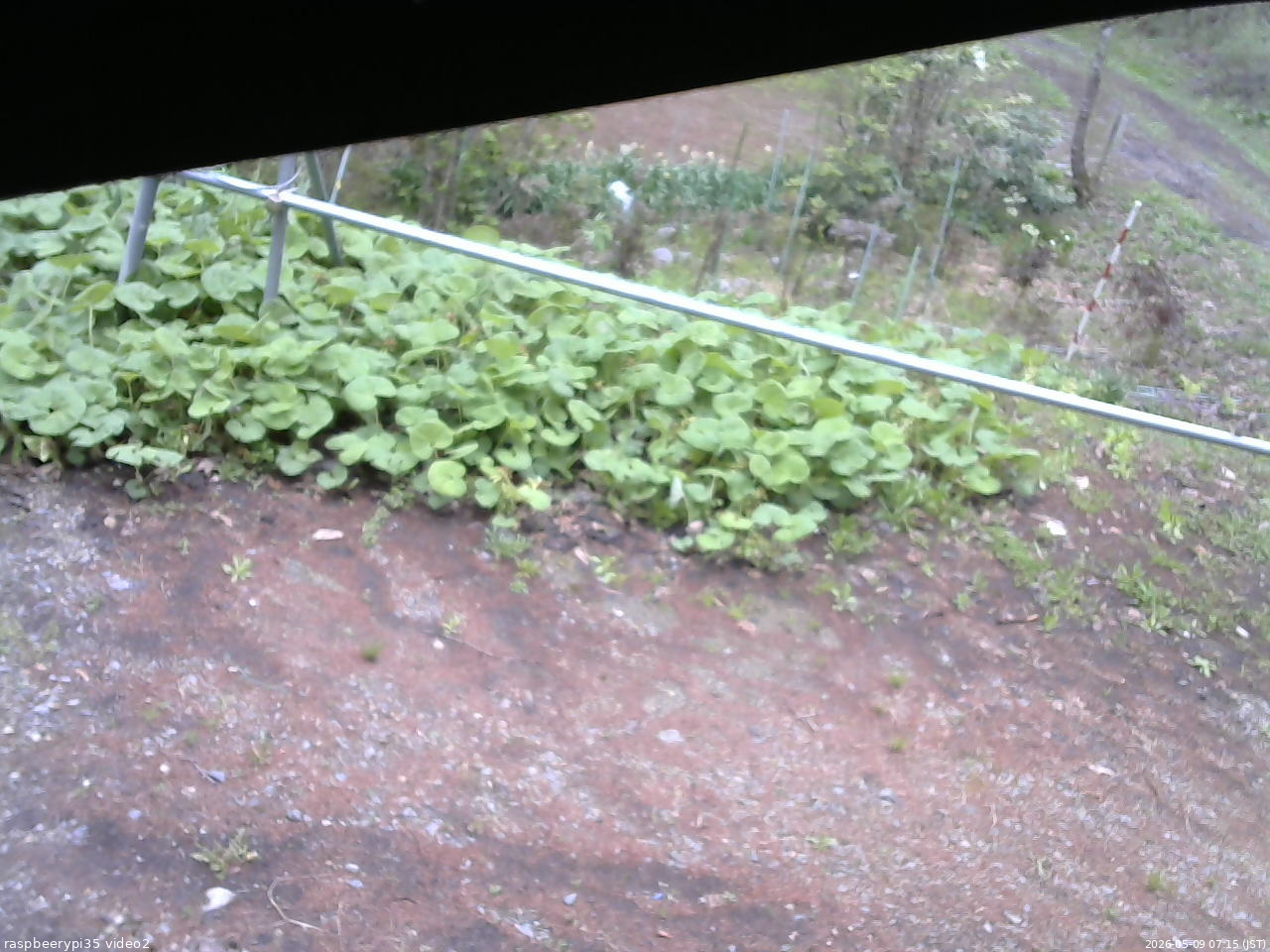 長野県菅平高原 ゆたか山荘 駐車場 2026/05/09 07:15