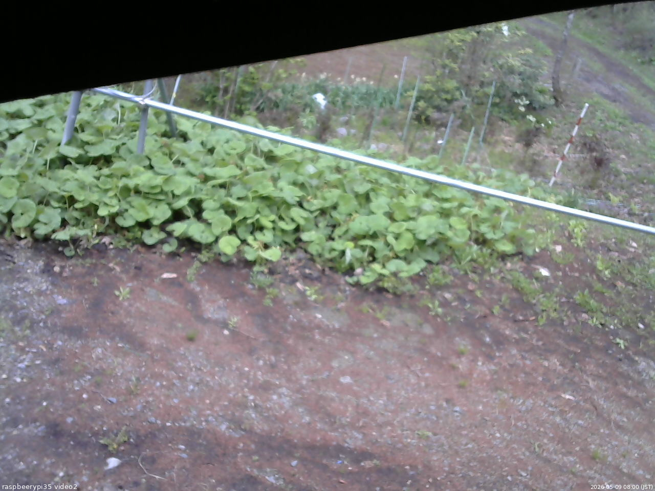 長野県菅平高原 ゆたか山荘 駐車場 2026/05/09 08:00