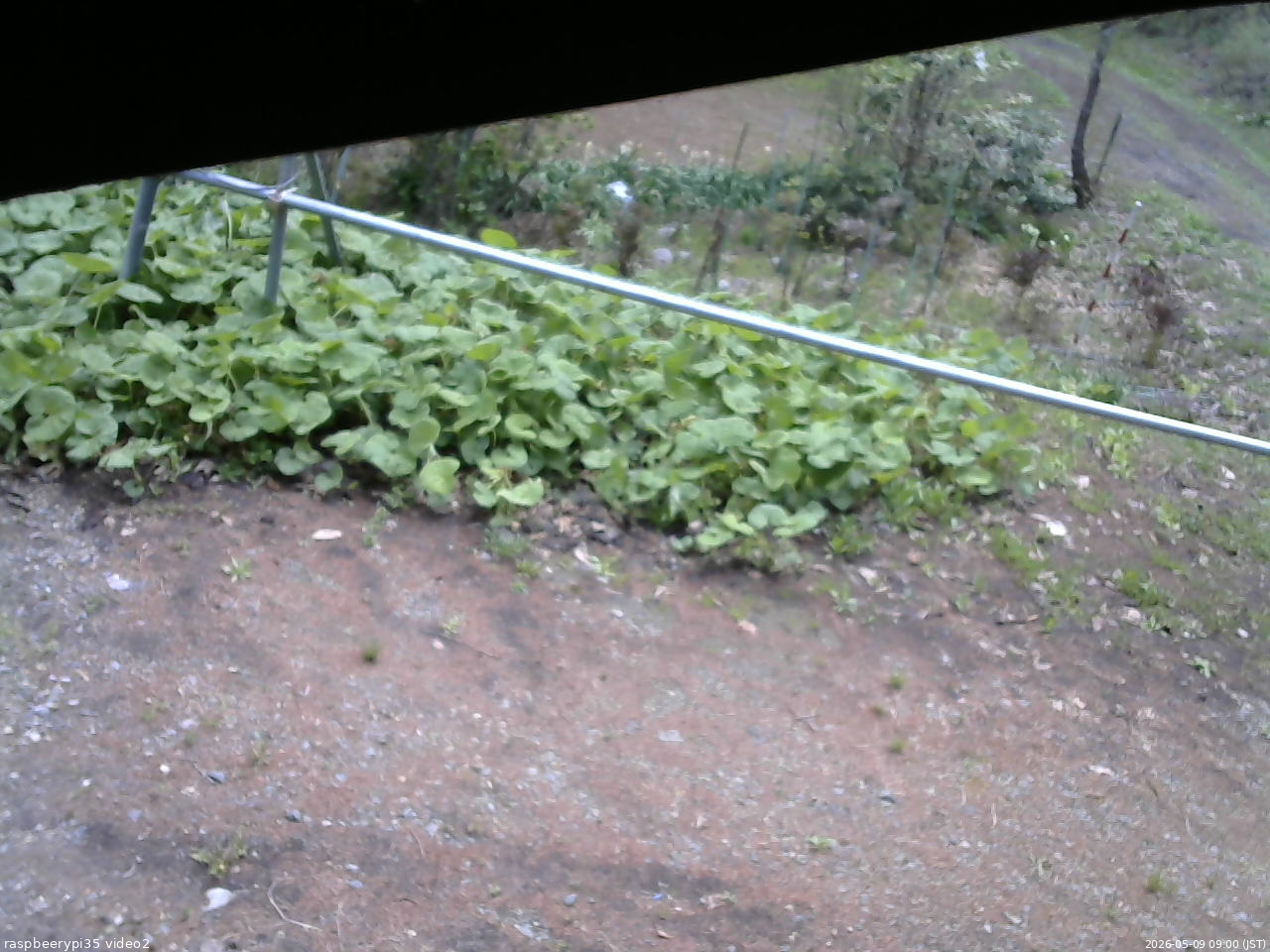 長野県菅平高原 ゆたか山荘 駐車場 2026/05/09 09:00