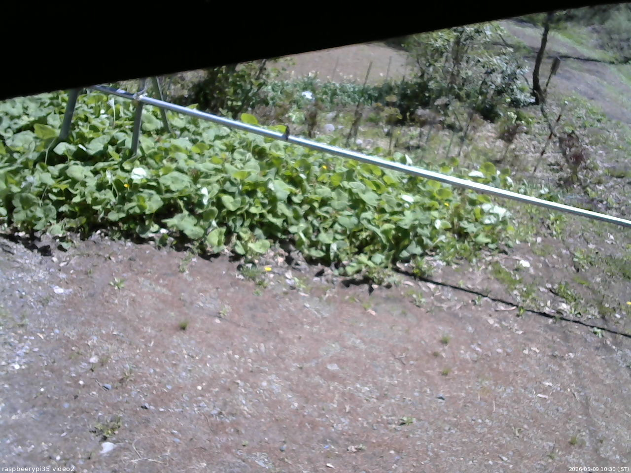 長野県菅平高原 ゆたか山荘 駐車場 2026/05/09 10:30