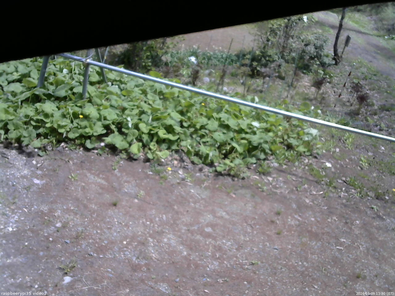 長野県菅平高原 ゆたか山荘 駐車場 2026/05/09 11:30