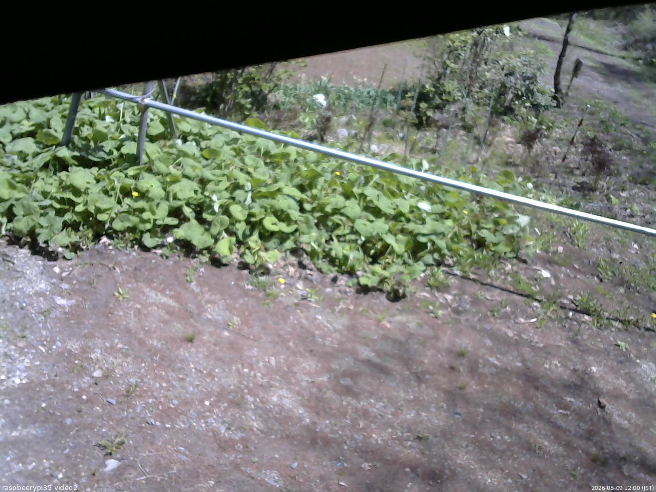 長野県菅平高原 ゆたか山荘 駐車場 2026/05/09 12:00