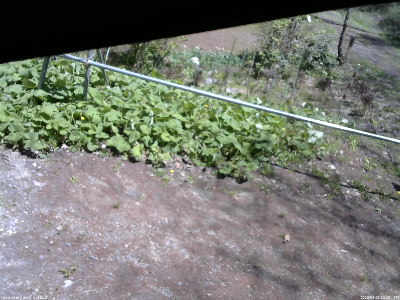 長野県菅平高原 ゆたか山荘 駐車場 2026/05/09 12:15