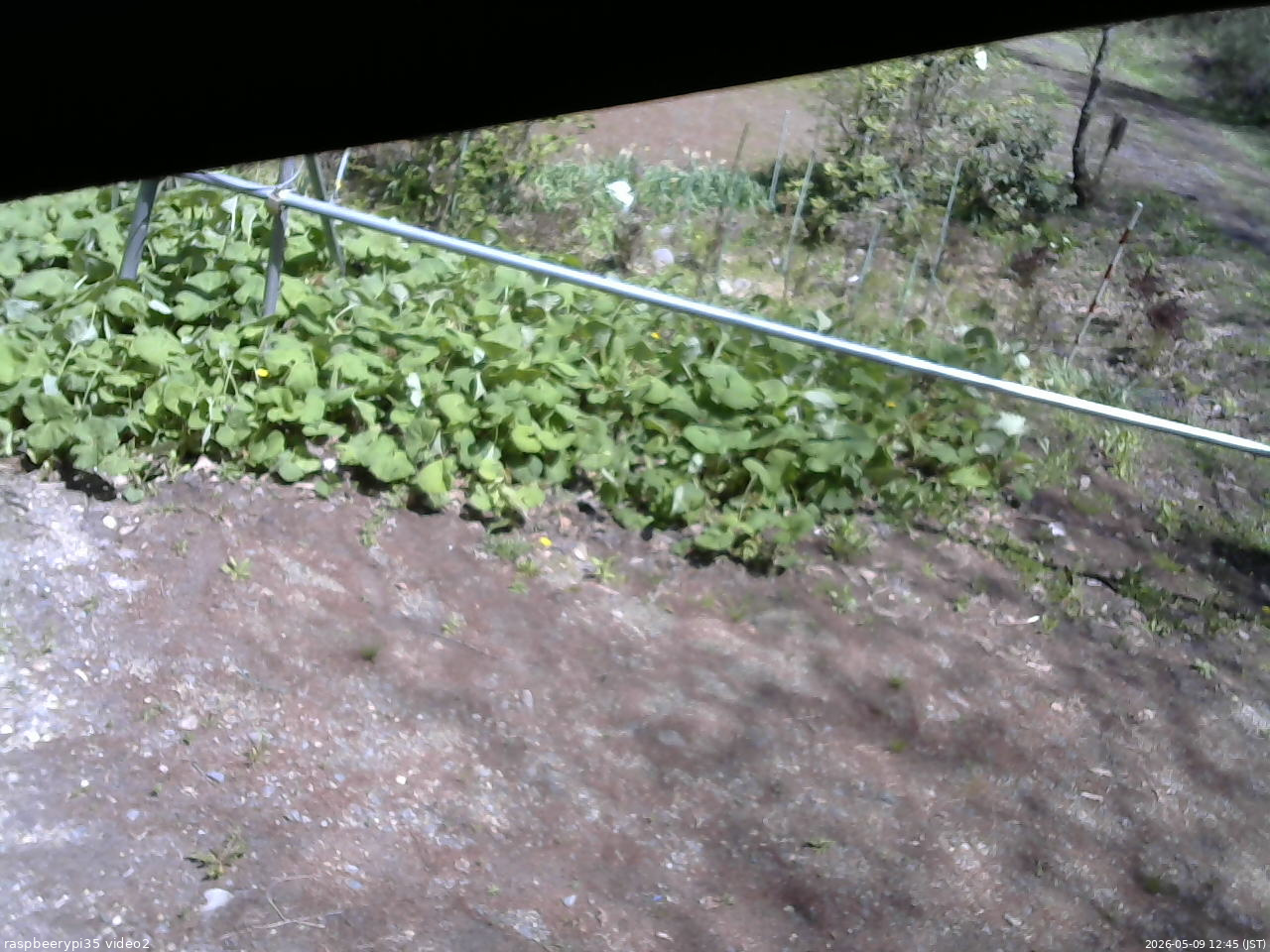 長野県菅平高原 ゆたか山荘 駐車場 2026/05/09 12:45