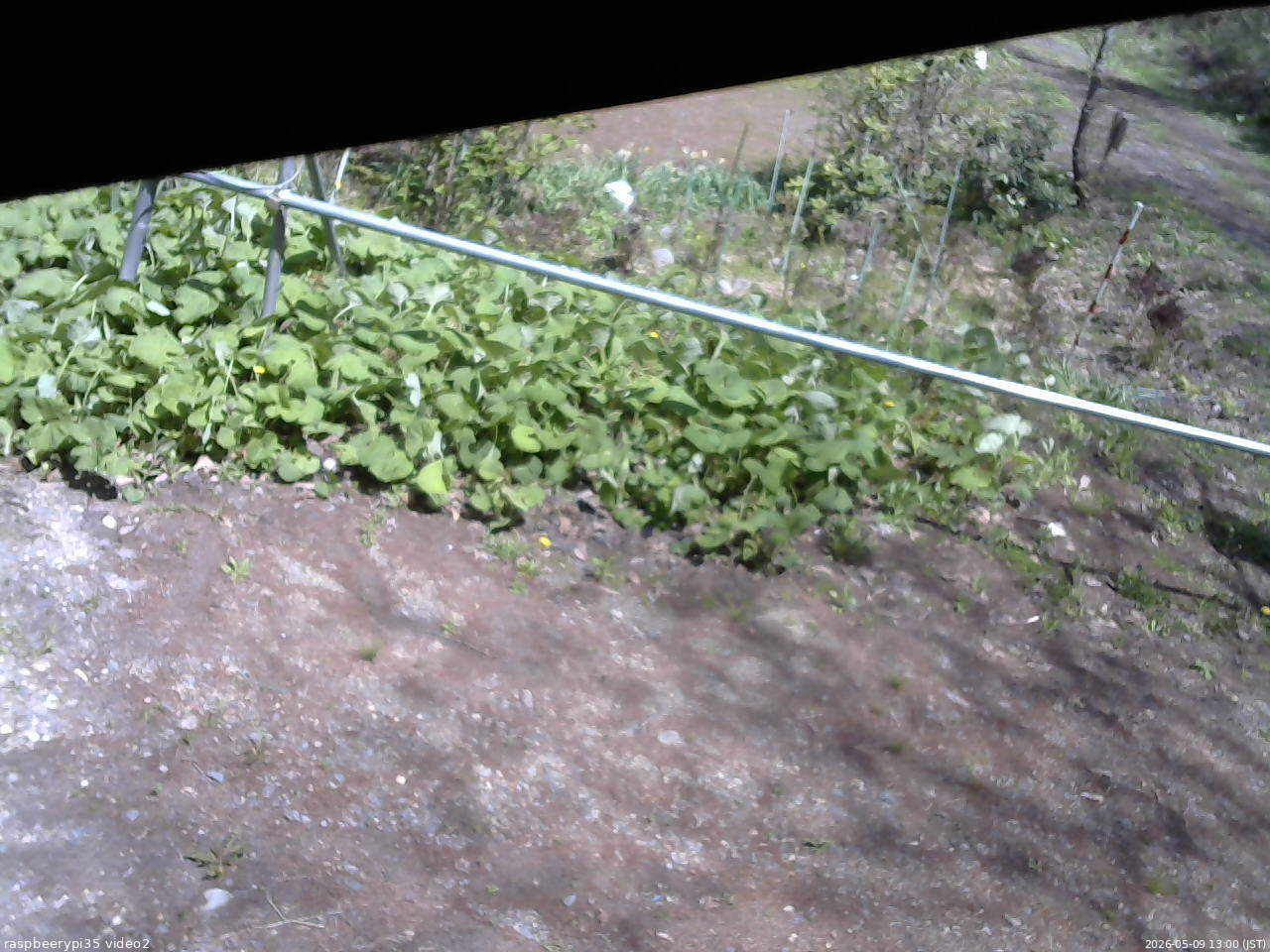 長野県菅平高原 ゆたか山荘 駐車場 2026/05/09 13:00