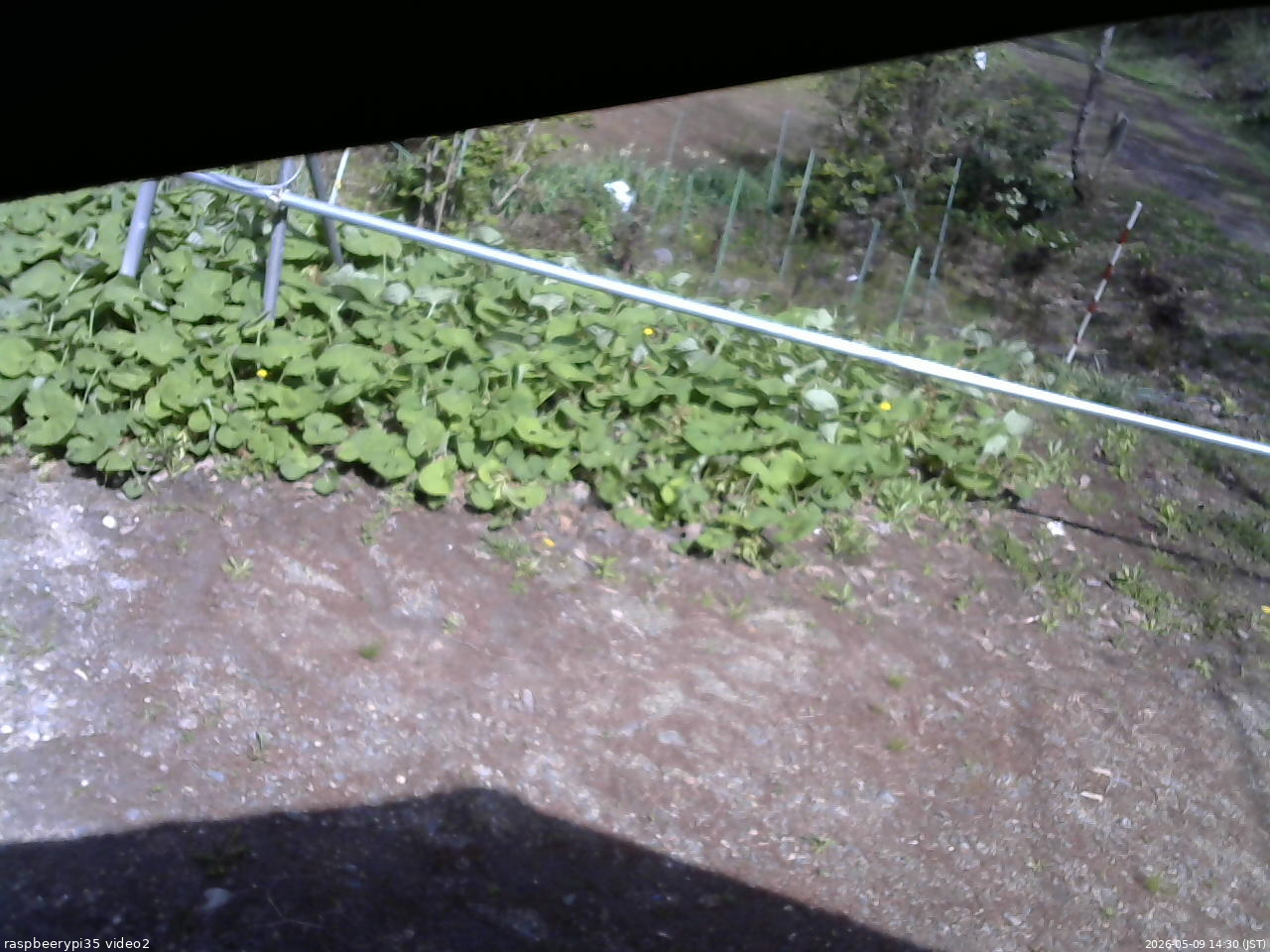 長野県菅平高原 ゆたか山荘 駐車場 2026/05/09 14:30