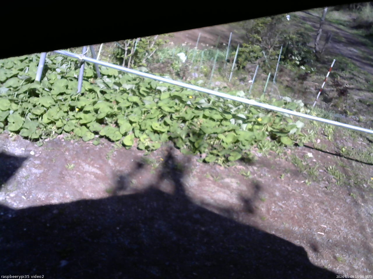 長野県菅平高原 ゆたか山荘 駐車場 2026/05/09 15:00