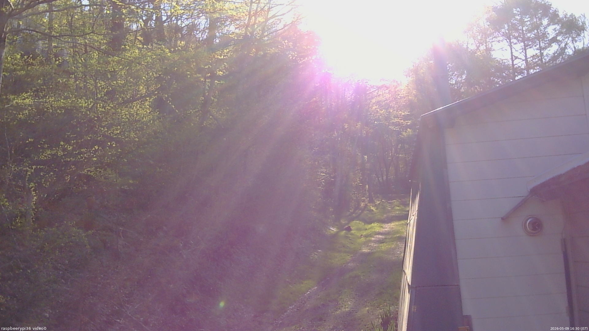 長野県菅平高原 ゆたか山荘 ゆたか山荘 2026/05/09 16:30
