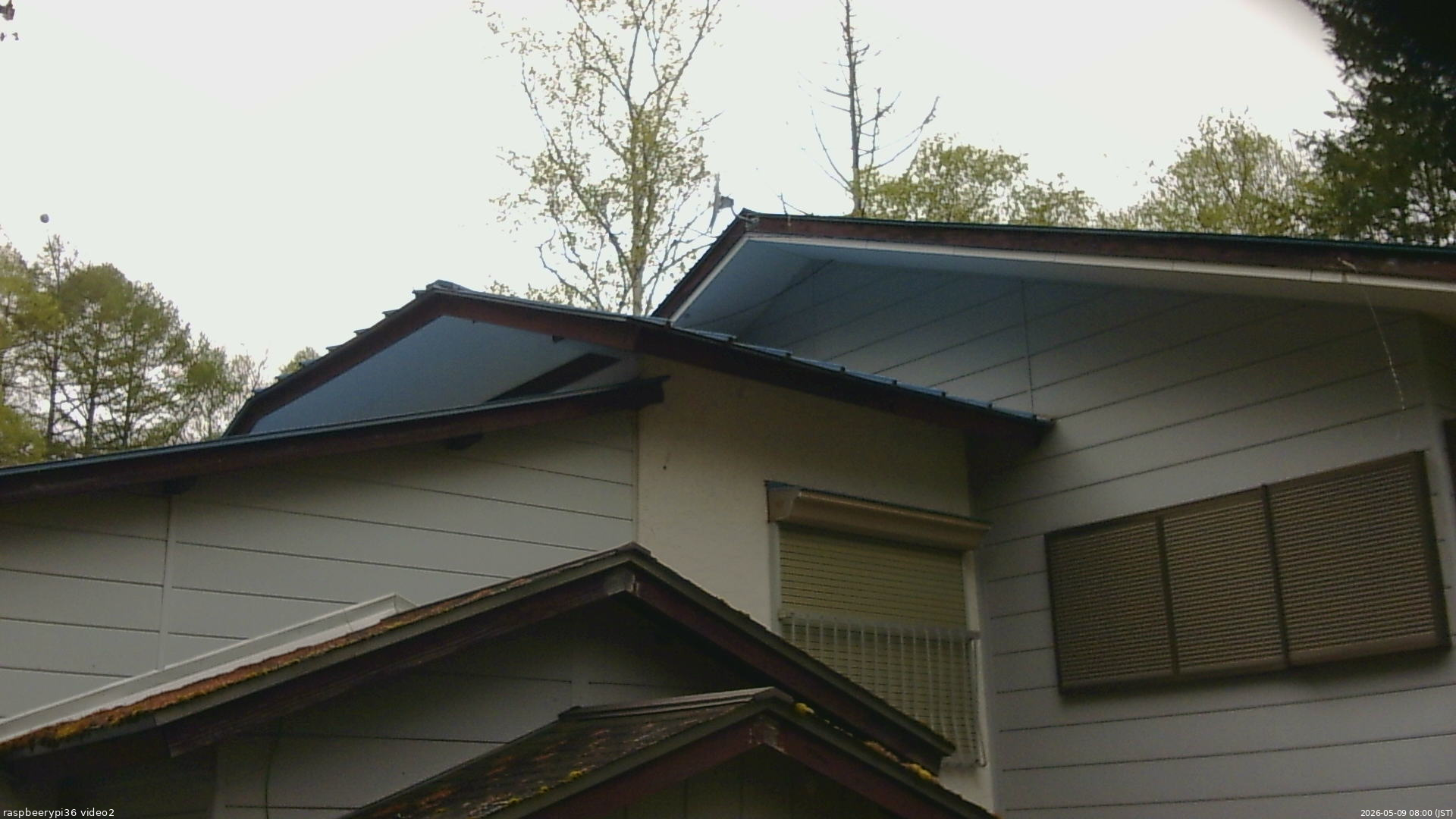 長野県菅平高原 ゆたか山荘 駐車場奥 2026/05/09 08:00