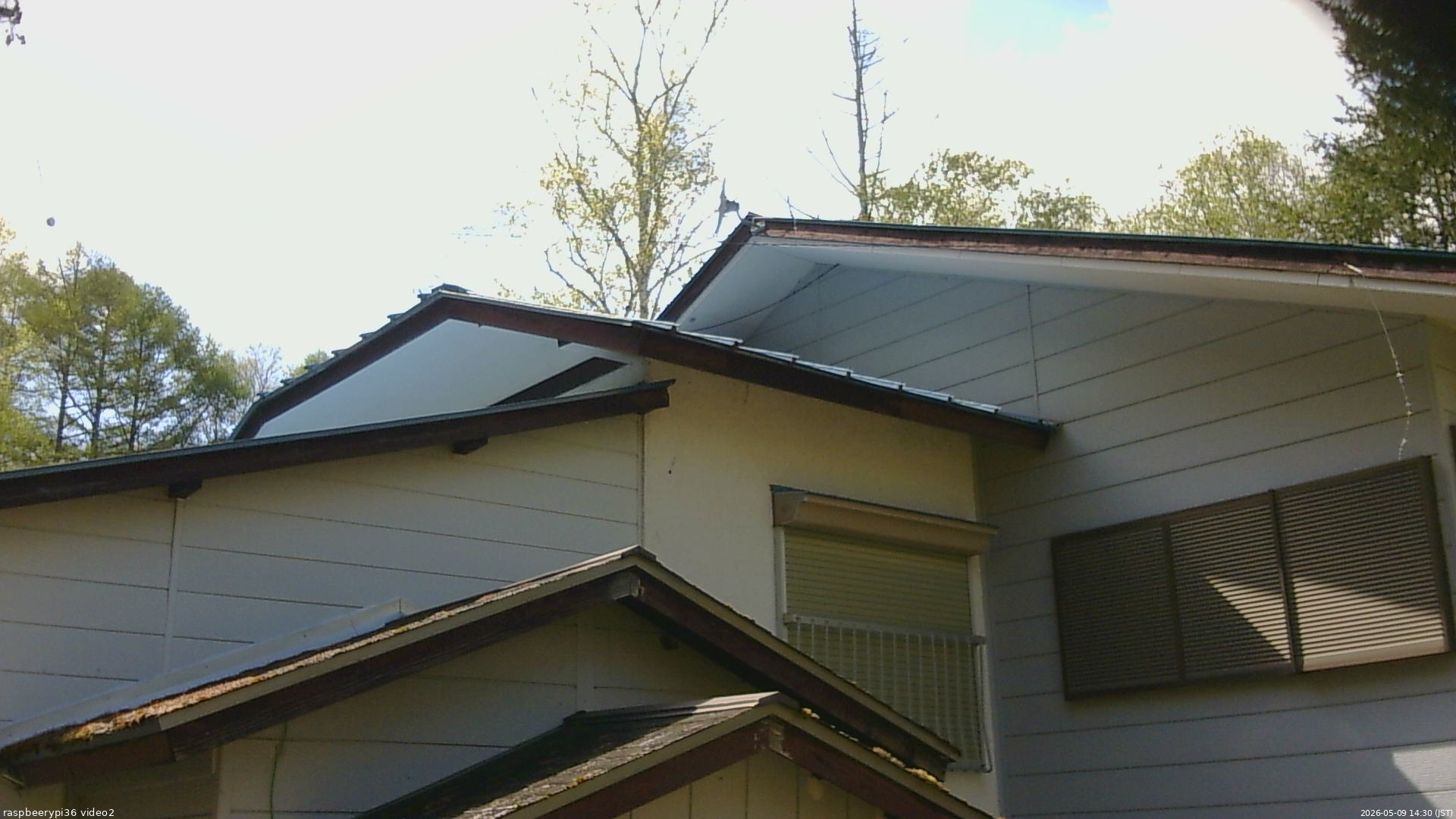 長野県菅平高原 ゆたか山荘 駐車場奥 2026/05/09 14:30
