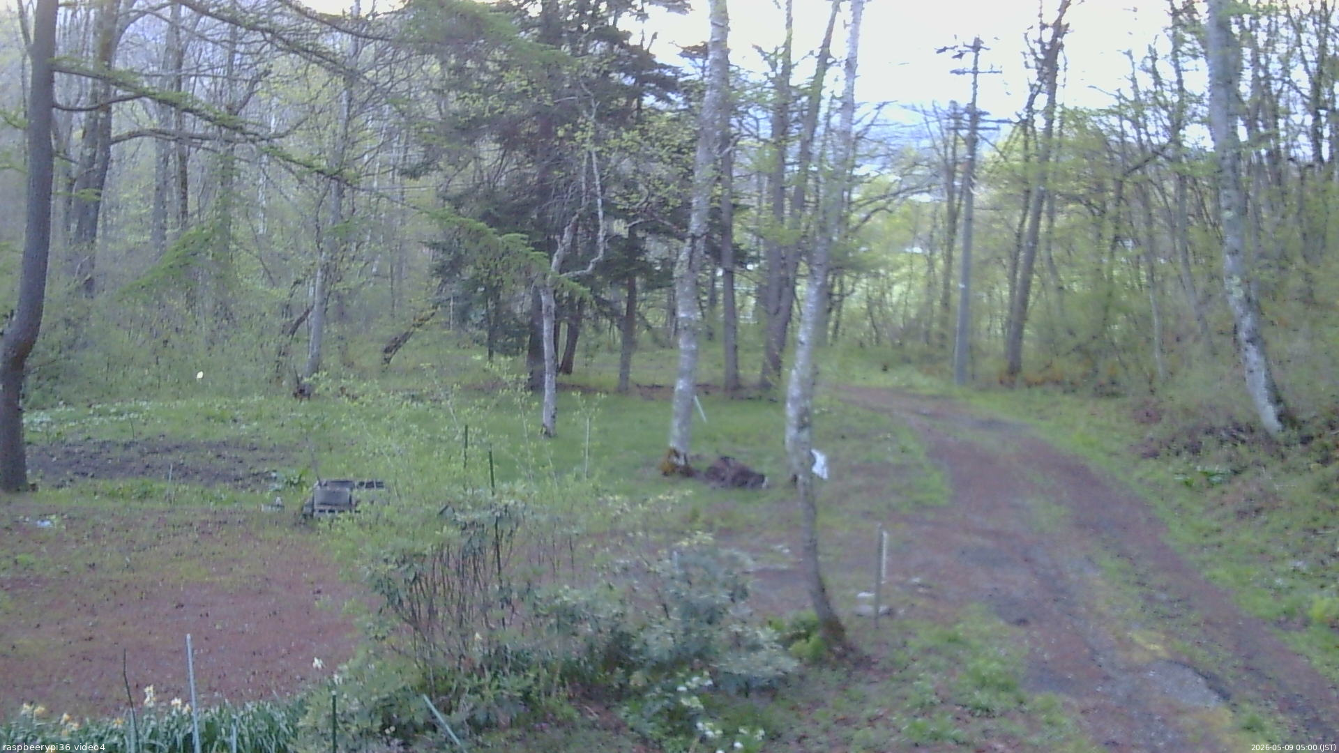 長野県菅平高原 ゆたか山荘 坂上 2026/05/09 05:00
