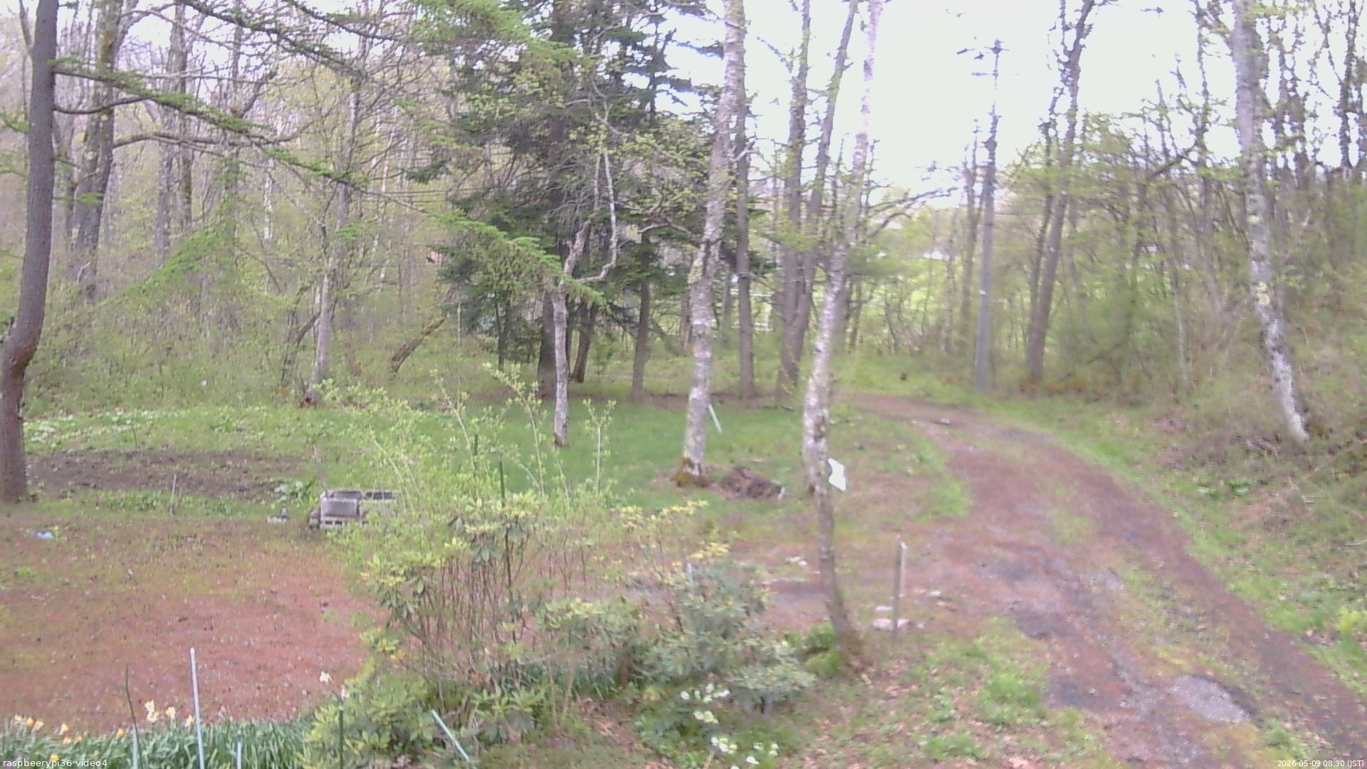 長野県菅平高原 ゆたか山荘 坂上 2026/05/09 08:30