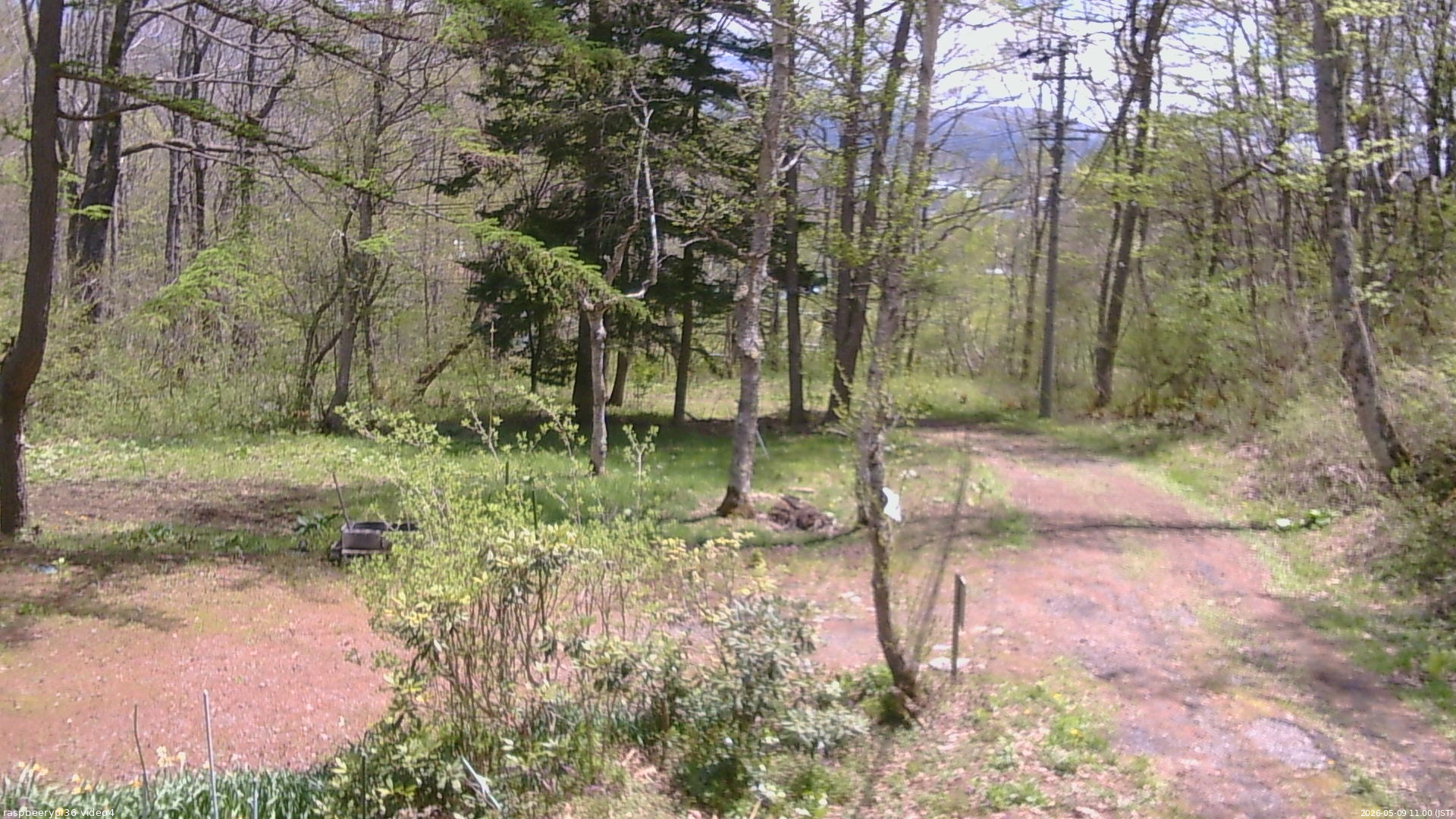 長野県菅平高原 ゆたか山荘 坂上 2026/05/09 11:00