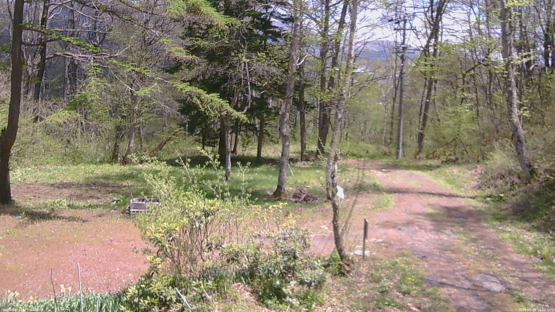 長野県菅平高原 ゆたか山荘 坂上 2026/05/09 12:00
