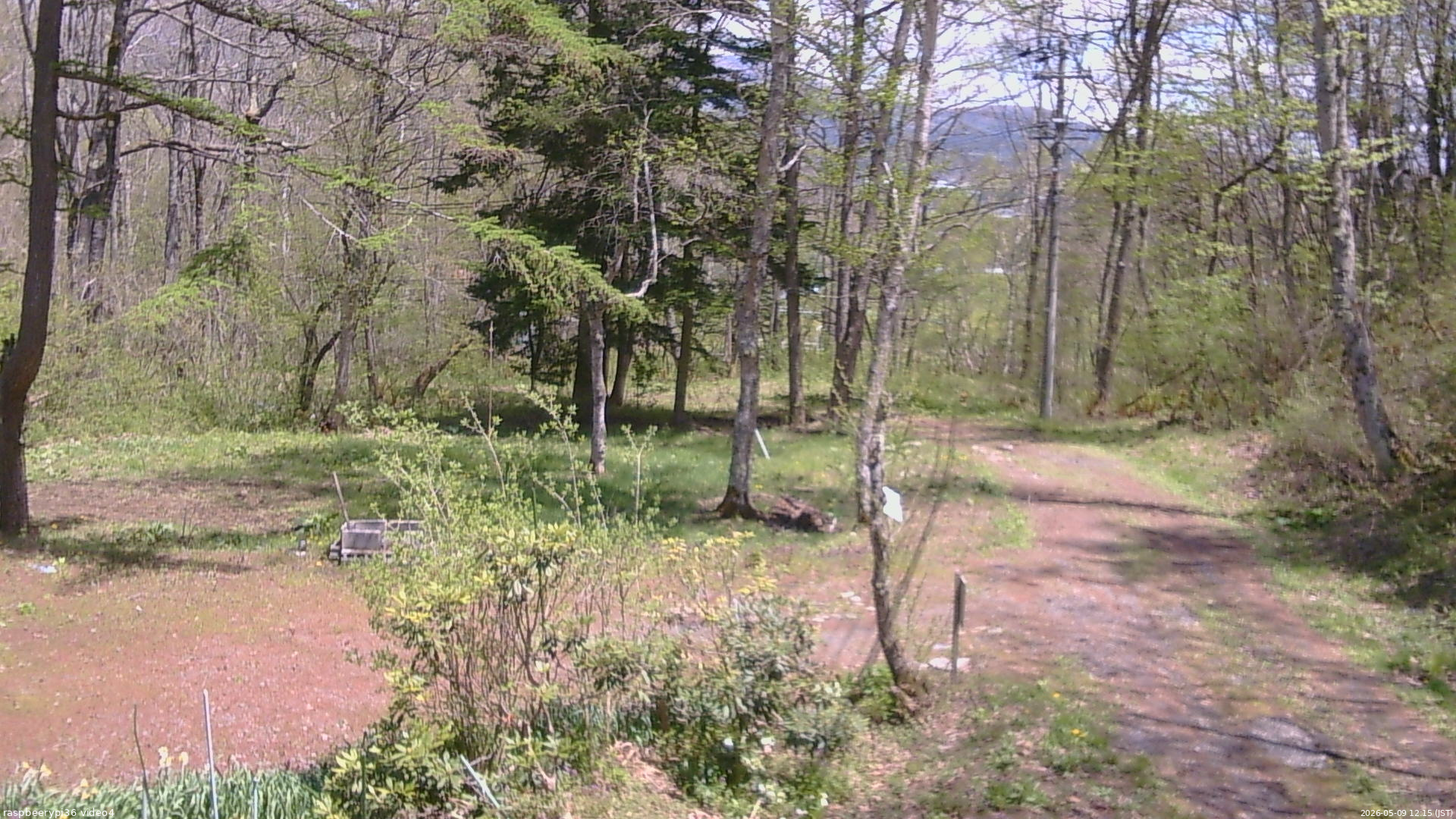 長野県菅平高原 ゆたか山荘 坂上 2026/05/09 12:15