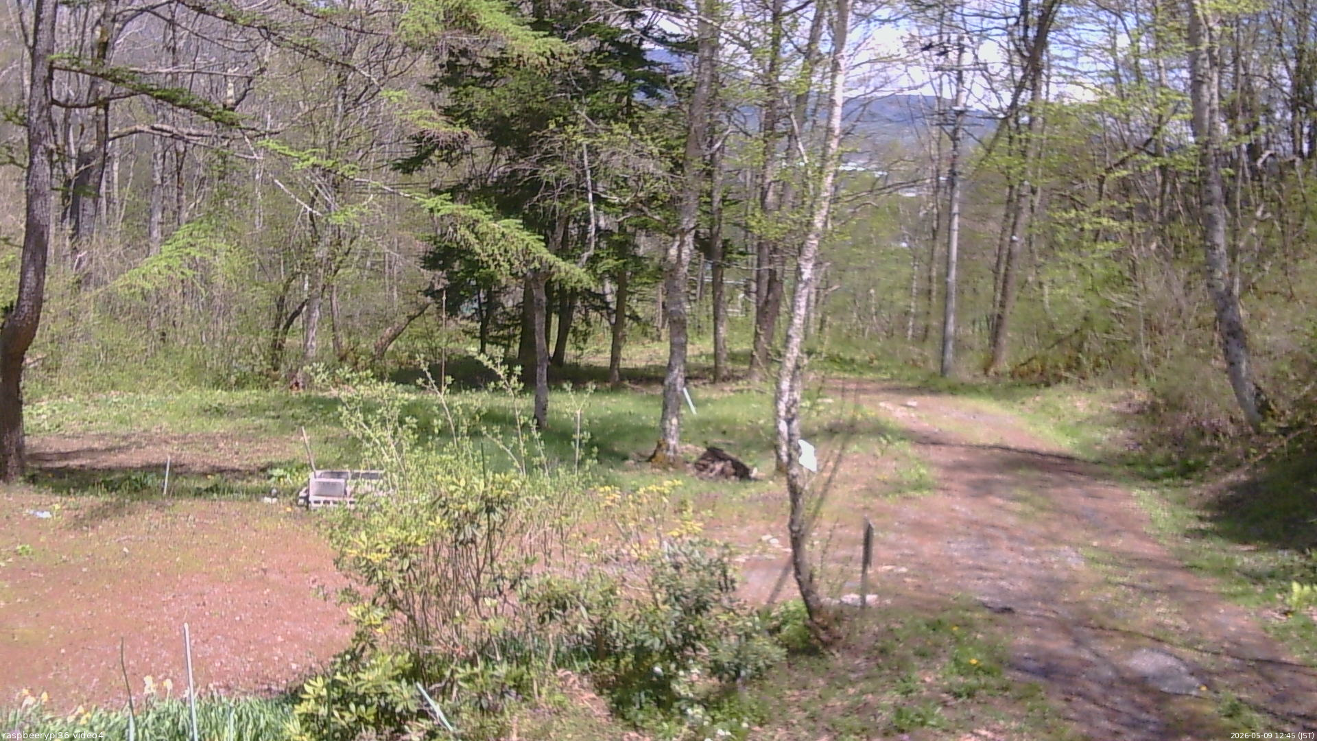 長野県菅平高原 ゆたか山荘 坂上 2026/05/09 12:45