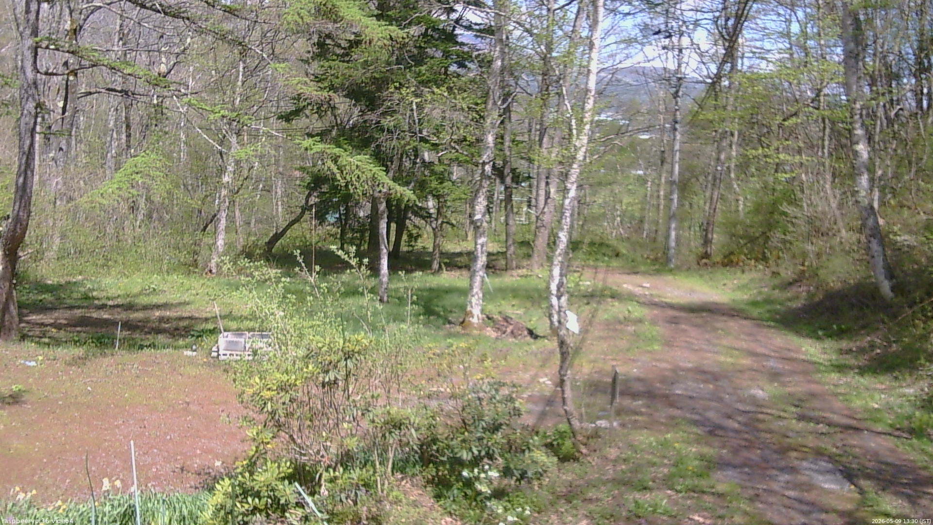 長野県菅平高原 ゆたか山荘 坂上 2026/05/09 13:30
