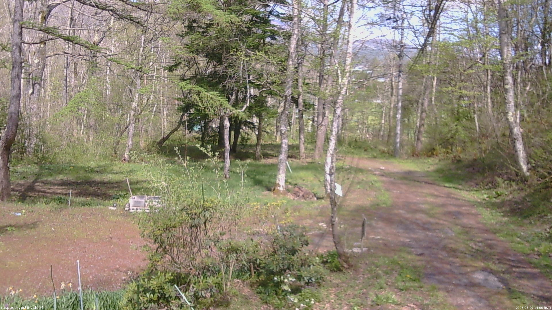 長野県菅平高原 ゆたか山荘 坂上 2026/05/09 14:00
