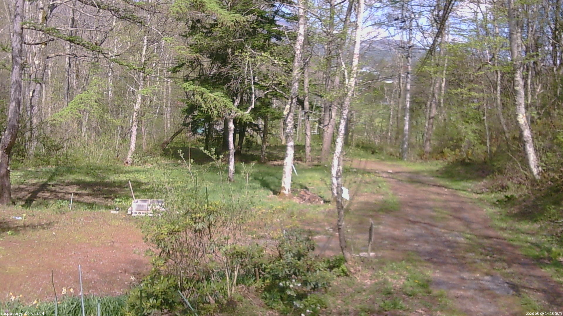 長野県菅平高原 ゆたか山荘 坂上 2026/05/09 14:15