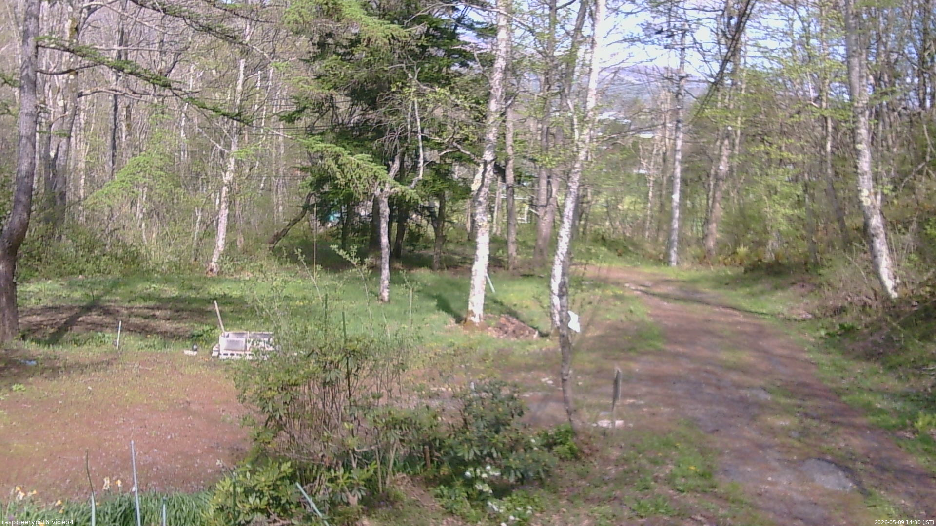 長野県菅平高原 ゆたか山荘 坂上 2026/05/09 14:30