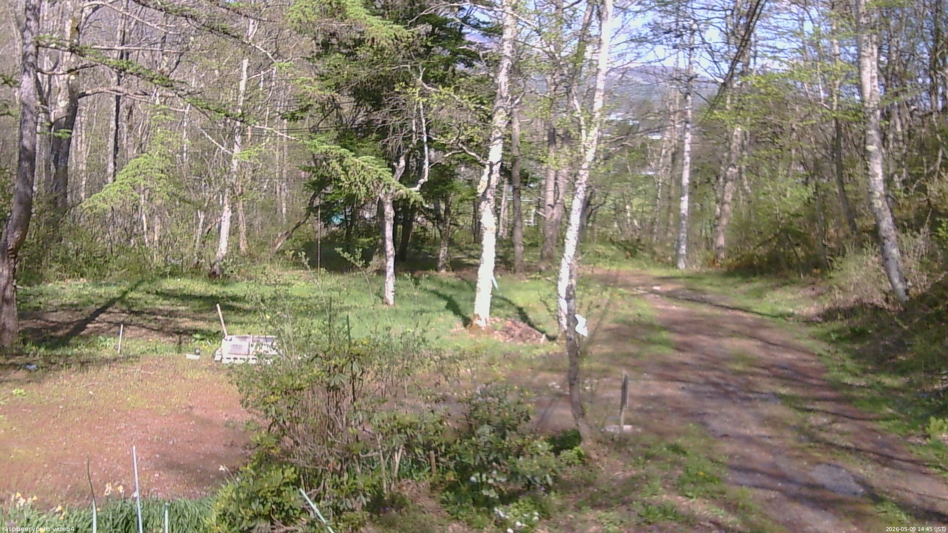 長野県菅平高原 ゆたか山荘 坂上 2026/05/09 14:45