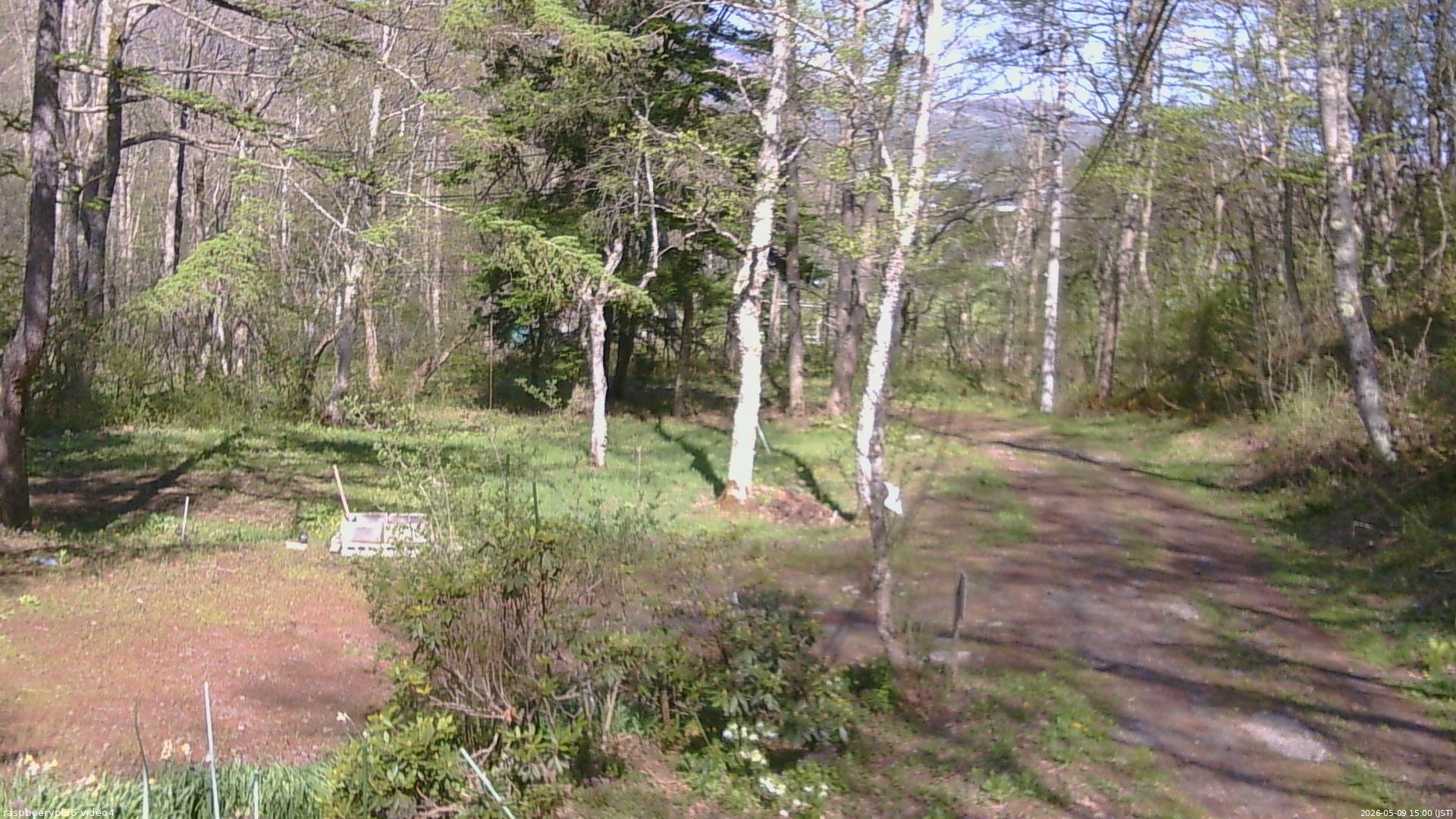 長野県菅平高原 ゆたか山荘 坂上 2026/05/09 15:00