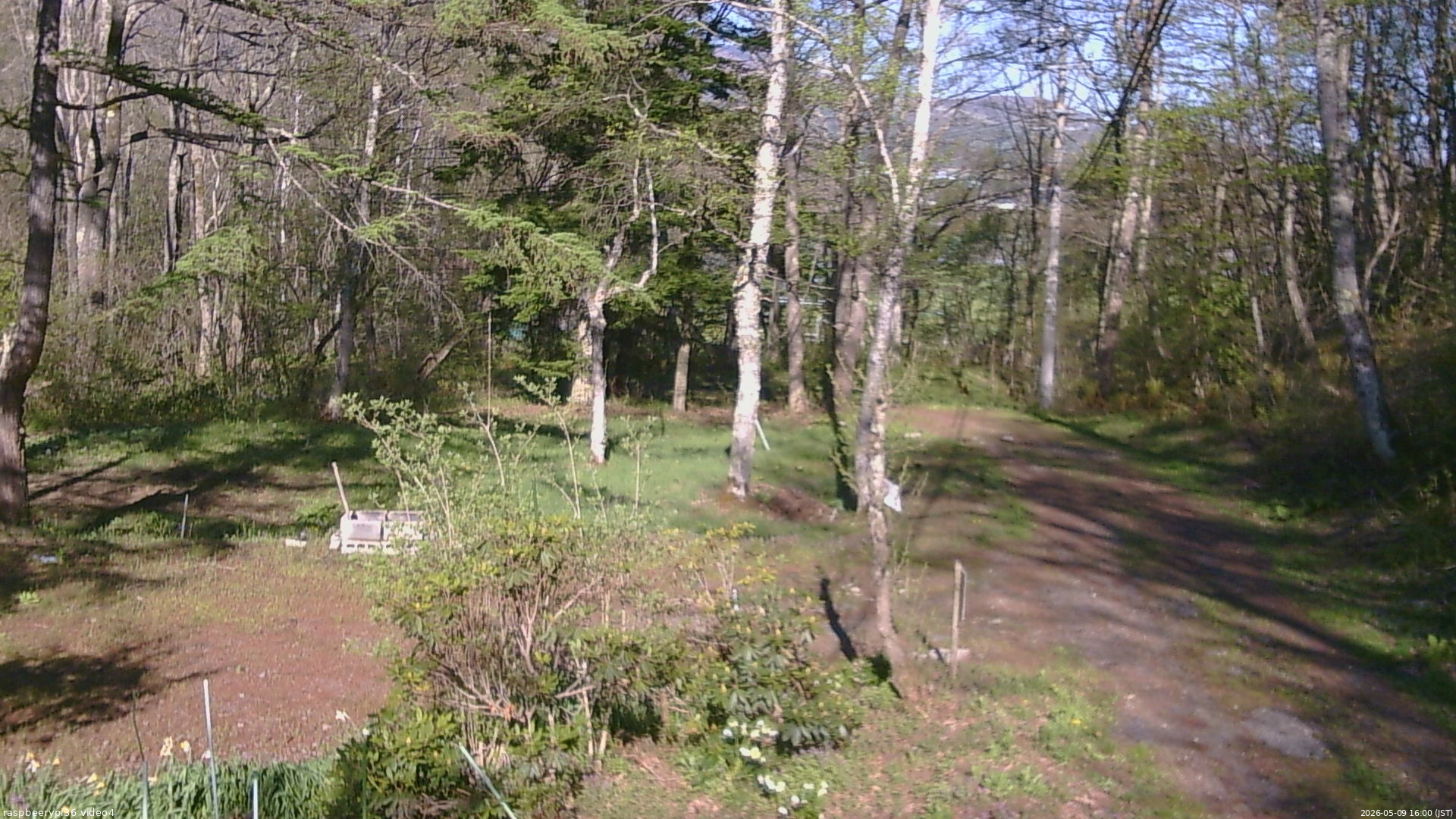 長野県菅平高原 ゆたか山荘 坂上 2026/05/09 16:00