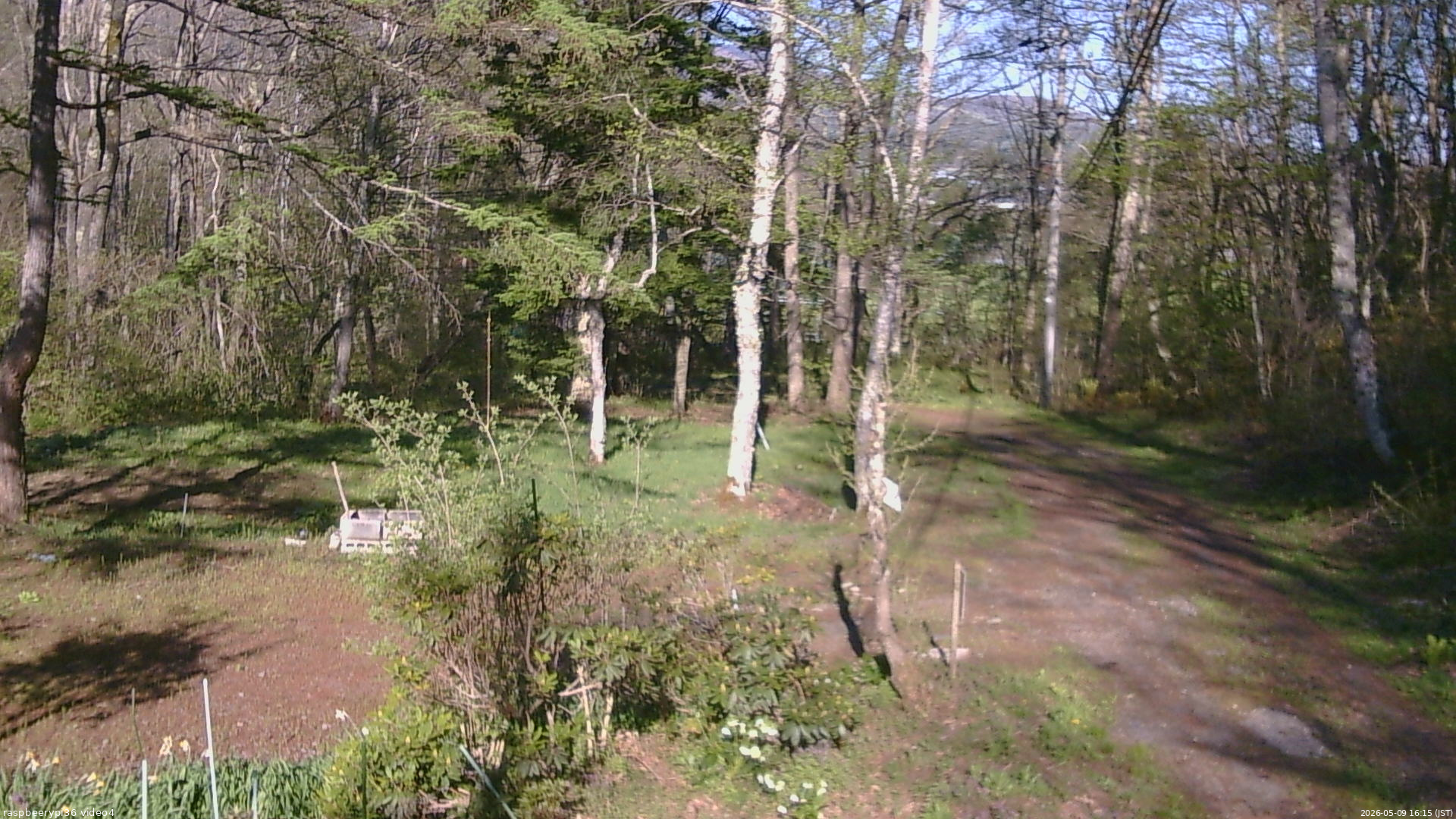 長野県菅平高原 ゆたか山荘 坂上 2026/05/09 16:15