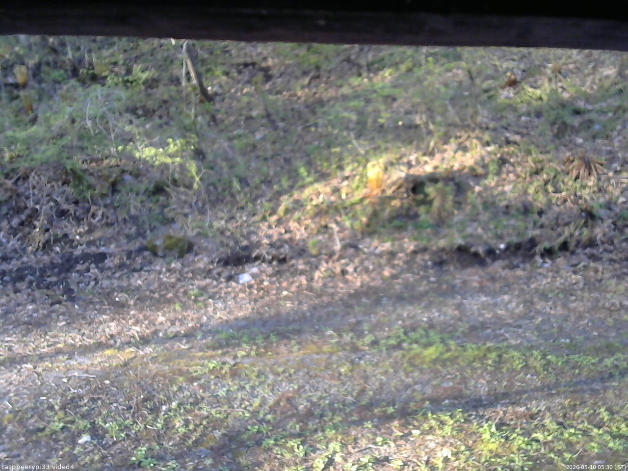 長野県菅平高原 ゆたか山荘 東側(坂下) 2026/05/10 05:30