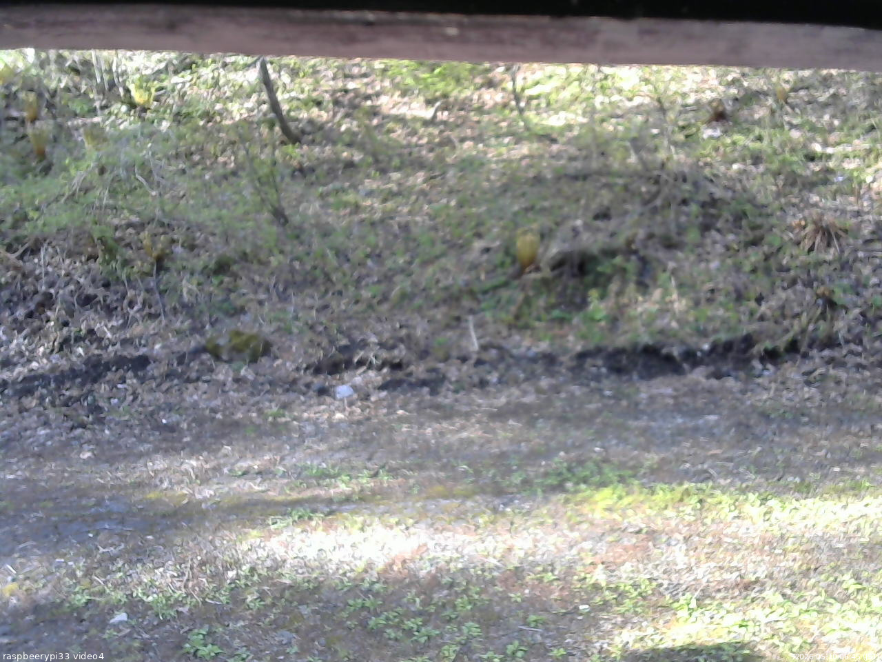 長野県菅平高原 ゆたか山荘 東側(坂下) 2026/05/10 06:45