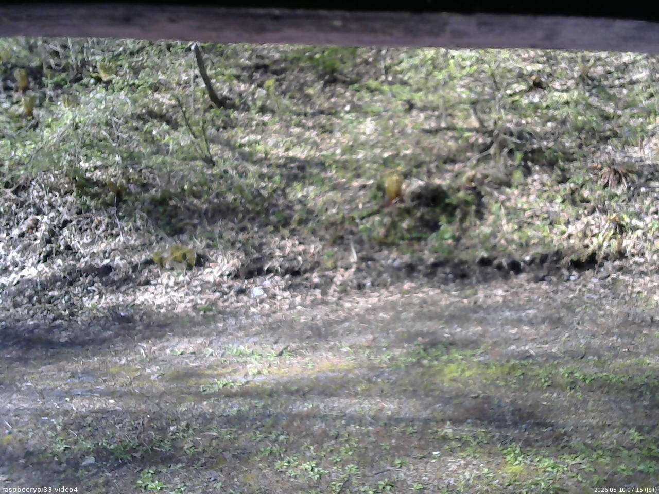 長野県菅平高原 ゆたか山荘 東側(坂下) 2026/05/10 07:15