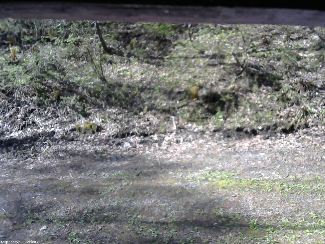 長野県菅平高原 ゆたか山荘 東側(坂下) 2026/05/10 07:30