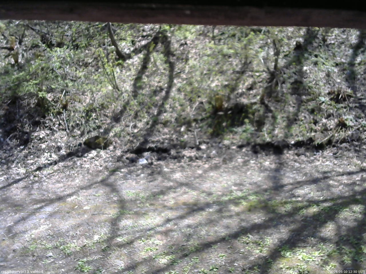 長野県菅平高原 ゆたか山荘 東側(坂下) 2026/05/10 12:30