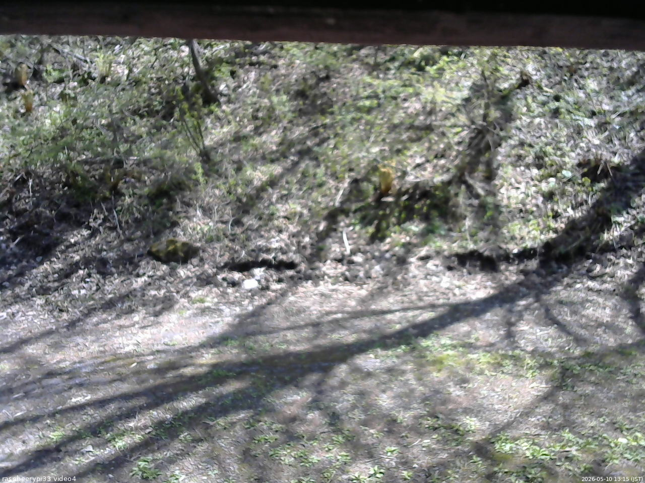 長野県菅平高原 ゆたか山荘 東側(坂下) 2026/05/10 13:15