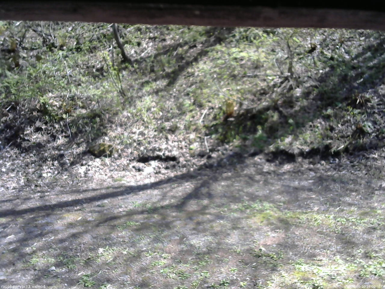 長野県菅平高原 ゆたか山荘 東側(坂下) 2026/05/10 14:00